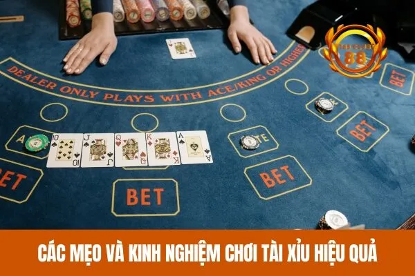 Hướng dẫn cách chơi tài xỉu chi tiết