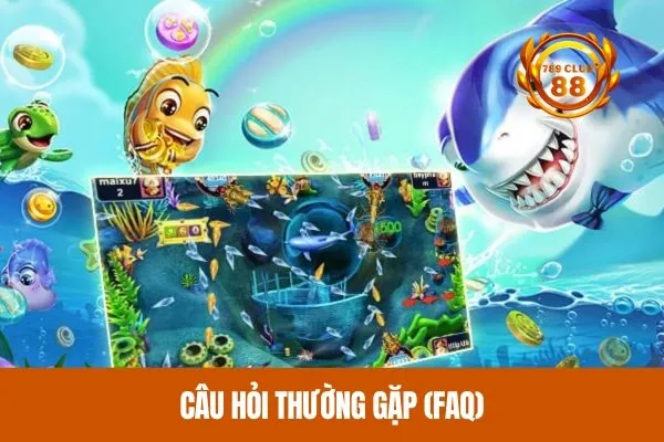 Câu hỏi thường gặp (FAQ)