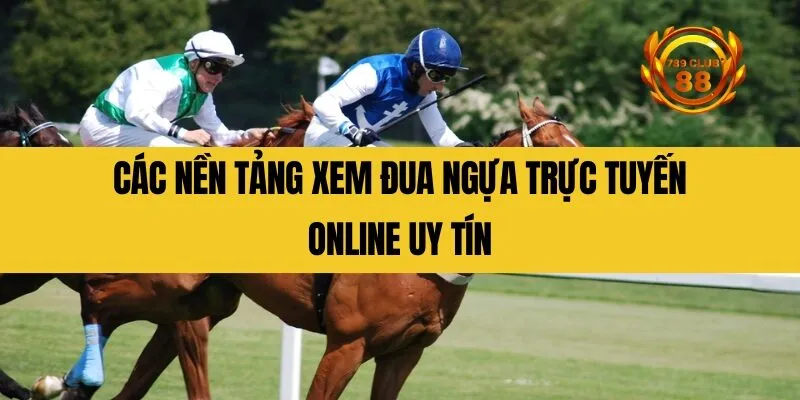 Các nền tảng xem đua ngựa trực tuyến online uy tín