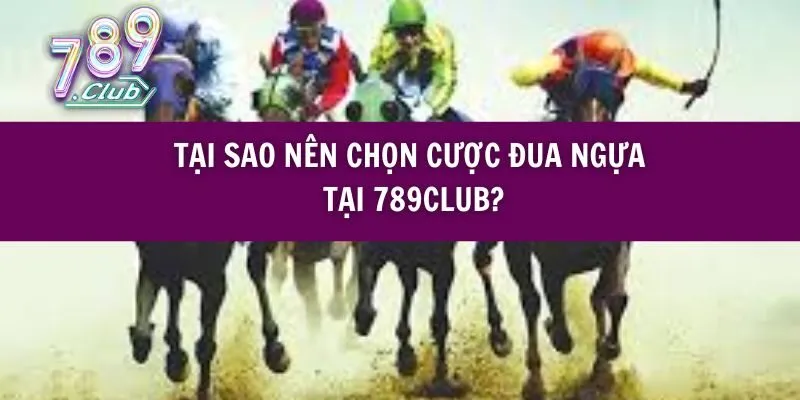 Tại Sao Nên Chọn Cược Đua Ngựa Tại 789club?